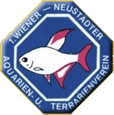 1. Wr. Neustädter Aquarien- und Terrarienverein 1. Wr. Neustädter Aquarien- und Terrarienverein